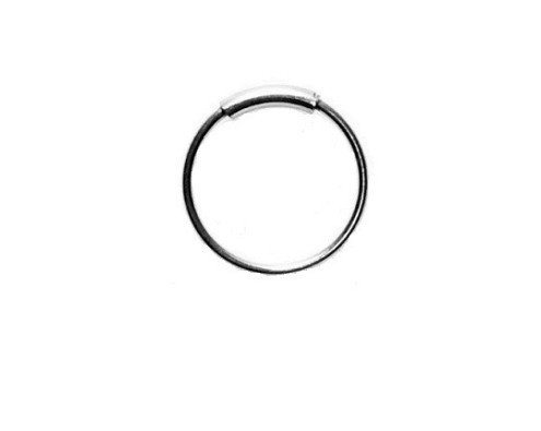Argola  com encaixe
