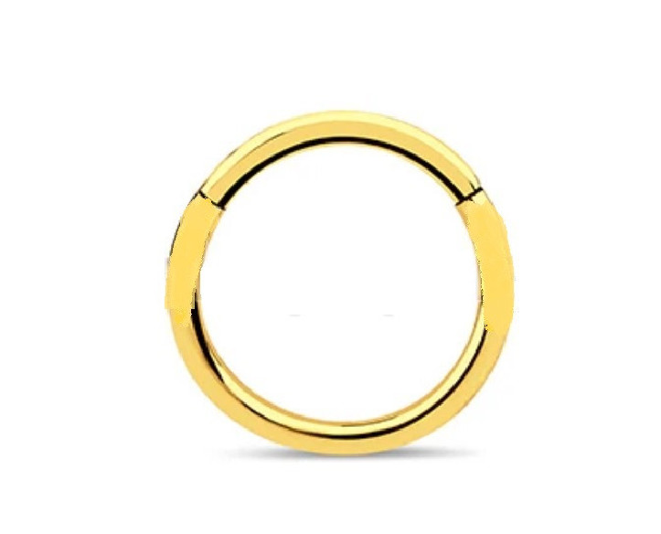 Argola de Clicker em Aço Dourado