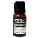 Óleo Essencial 10ml - Folha de louro ( Bay Leaf)