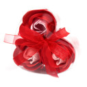Set Flores de Sabão - Vermelho