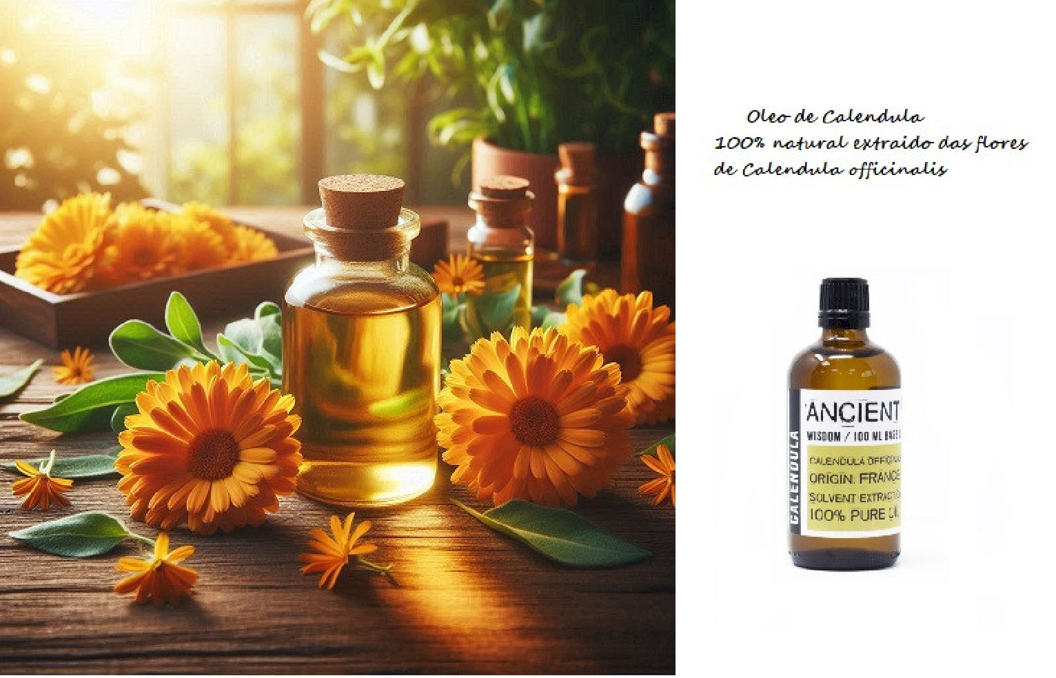 Óleo de calêndula 100ml